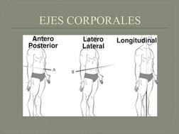 EJES CORPORALES
