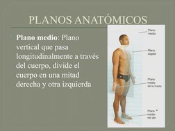 PLANOS ANATÓMICOS
Plano medio: Plano 
vertical que pasa 
longitudinalmente a través 
del cuerpo, divide el 
cuerpo en una mi