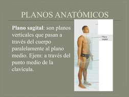 PLANOS ANATÓMICOS
Plano sagital: son planos 
verticales que pasan a 
través del cuerpo 
paralelamente al plano 
medio. Ejem: