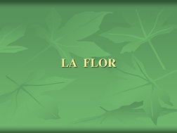 LA  FLOR 
