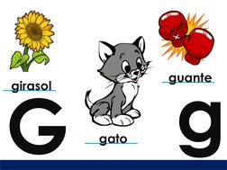 GgElaborado por: Asesor Educativo  Facebok: @asesor.educ
gato
girasol
guante
