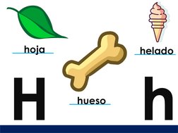 HhElaborado por: Asesor Educativo  Facebok: @asesor.educ
hueso
hoja
helado

