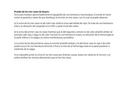 Prueba de los tres vasos de Guyon: 
Sirve para localizar aproximadamente la topografía de una hematuria macroscópica. C