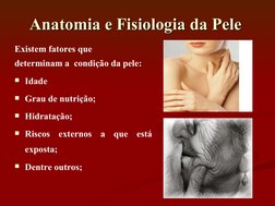 Anatomia e Fisiologia da Pele
Anatomia e Fisiologia da Pele
Existem fatores que
determinam a  condição da pele:
Idade
Grau
