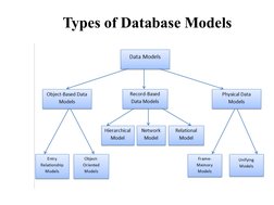 Types of Database Models
