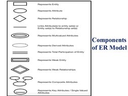 Components 
of ER Model

