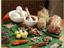 Overview of Ayurveda Fundamentals | PDF | Ayurveda | Clinical Medicine