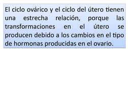 El ciclo ovárico y el ciclo del útero tienen 
una 
estrecha 
relación, 
porque 
las 
transformaciones 
en 
el 
útero 
se 
pro