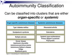 Autoimmunity Classification
Can be classified into clusters that are either 
organ-specific or systemic
