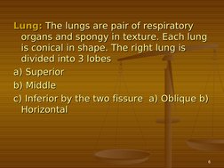 6
Lung:
Lung:  The lungs are pair of respiratory 
The lungs are pair of respiratory 
organs and spongy in texture. Each lung