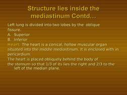 Structure lies inside the 
Structure lies inside the 
mediastinum Contd…
mediastinum Contd…
Left lung is divided into two lob