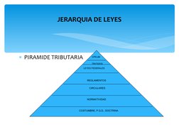 PIRAMIDE TRIBUTARIA
JERARQUIA DE LEYES
CPEUM
TRATADOS
LEYES FEDERALES
REGLAMENTOS
CIRCULARES
NORMATIVIDAD
COSTUMBRE, P.G.D.,