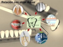 Relación con otras Áreas
