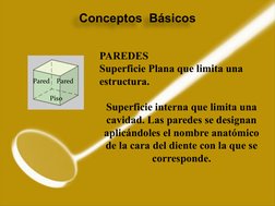 Conceptos  Básicos
PAREDES
Superficie Plana que limita una 
estructura.
Superficie interna que limita una 
cavidad. Las pared