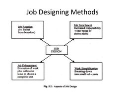 Job Design and Evaluation Overview | PDF | Design | Evaluation