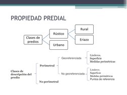 PROPIEDAD PREDIAL
Clases de 
descripción del 
predio
Perimetral
No perimetral
Georeferenciada
No georeferenciada
Linderos.
Su