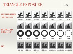 TRIANGLE EXPOSURE
1A
SHUTTER SPEED 
*SHUTTER ANGLE
DIAFRAGMA 
(IRIS) : F/T
ISO
 2
