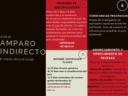 Diagrama de Amparo Indirecto | PDF | Justicia | Crimen y violencia