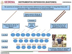CONFIDENCIAL 
CONFIDENCIAL 
INSTRUMENTOS DEFENSIVOS (BASTONES) 
Se autoriza el empleo de 3 instrumentos defensivos para prote