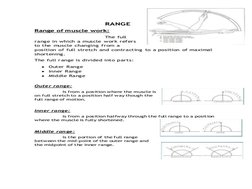 Working Ranges Chart Muscle Work Ranges in Therapy | PDF | Anatomical Terms Of Motion | Anatomy