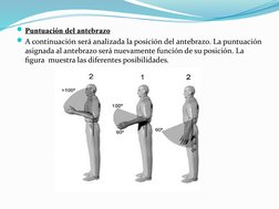Puntuación del antebrazo
A continuación será analizada la posición del antebrazo. La puntuación 
asignada al antebrazo será