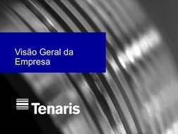  
Visão Geral da 
Empresa
