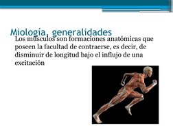 Miología, generalidades
Los músculos son formaciones anatómicas que 
poseen la facultad de contraerse, es decir, de 
disminui