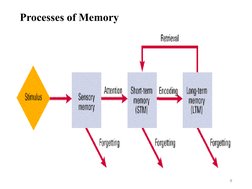 Memory and Forgetting in Psychology | PDF | Memory | Recall (Memory)