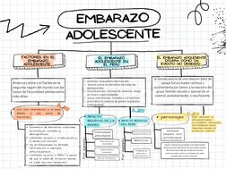 EMBARAZO
ADOLESCENTE
con una resistencia a la baja
debido 
a 
una 
serie 
de
factores:.
FACTORES EN EL
EMBARAZO
ADOLESCENTE