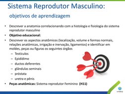 Sistema Reprodutor Masculino: 
 objetivos de aprendizagem 
•
Descrever a anatomia correlacionando com a histologia e fisiolog
