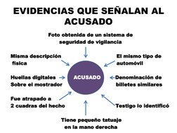 EVIDENCIAS QUE SEÑALAN AL 
ACUSADO 
Foto obtenida de un sistema de  
seguridad de vigilancia 
 
Misma descripción
