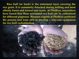Compose Rice Hull Benefits and Uses of Carbonized Rice Hull | PDF | Soil | Compost