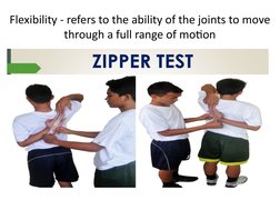Zipper Test for Shoulder Flexibility | PDF | Human Anatomy ...