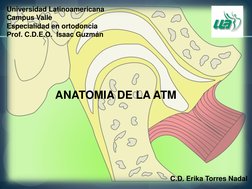 Universidad Latinoamericana 
Campus Valle 
Especialidad en ortodoncia 
Prof. C.D.E.O.  Isaac Guzmán 
 
ANATOMIA DE LA ATM