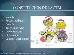 CONSTITUCIÓN DE LA ATM 

Cóndilo  

Fosa Mandibular 

Cápsula 

Tejidos sinoviales 

Disco Articular 

Ligamentos 
