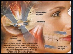 Es de particular interés  para el odontólogo 
conocer las articulaciones diartrósicas, es 
decir, móviles,  para así poder