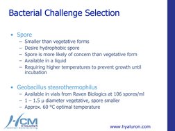 Bacterial Challenge Selection
• Spore
– Smaller than vegetative forms
– Desire hydrophobic spore
– Spore is more likely of co