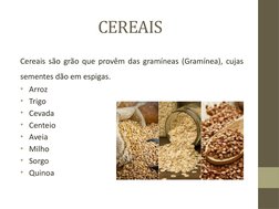 CEREAIS
Cereais são grão que provêm das gramíneas (Gramínea), cujas 
sementes dão em espigas. 
•  Arroz
•  Trigo
•  Cevada
•