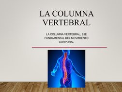 LA COLUMNA 
VERTEBRAL
LA COLUMNA VERTEBRAL, EJE 
FUNDAMENTAL DEL MOVIMIENTO 
CORPORAL
