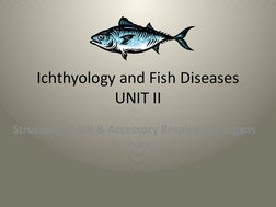 empty fishing lure individual boxes Hlotmeky Small Kayak Mini Tackle Box Waterproof Box Terminal Storage Fishing Hook Organizer : Sports & Outdoors Griller Level: Novice The Medium Tackle Box Berkley Big Big Game Spinning Reels model:SOLMQLT4000D-XH
