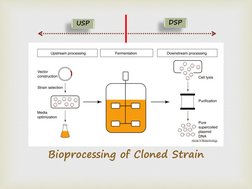 Upstream and Downstream Processing Overview | PDF | Chemistry ...