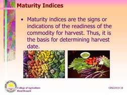 Understanding Crop Maturity Indices | PDF | Fruit | Postharvest