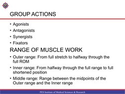 PES Institute of Medical Sciences & Research
GROUP ACTIONS
• Agonists 
• Antagonists
• Synergists 
• Fixators
RANGE OF MUSCLE
