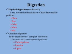 Digestion
Physical digestion (mechanical)
    - is the mechanical breakdown of food into smaller 
particles. 
• Chew
• Tear
