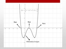 Raíz 
Ordenada al origen 
