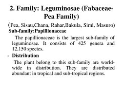Overview of Leguminosae Family | PDF | Botany | Plants