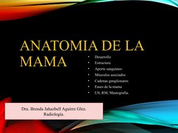 ANATOMIA DE LA 
MAMA
•
Desarrollo 
•
Estructura
•
Aporte sanguíneo
•
Músculos asociados
•
Cadenas ganglionares
•
Fases de la