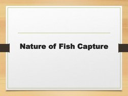 Overview of Fish Capture Methods | PDF | Fishery | Angling