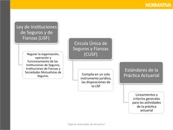 NORMATIVA
Tópicos Avanzados de Actuaría I
Evento incierto que 
cause daños o 
perjuicios
Ley de Instituciones 
de Seguros y d