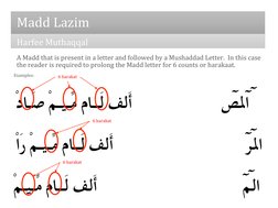 Madd Types Types and Rules of Madd in Tajweed | PDF | Quran | Islam